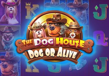 Microgaming - игровой автомат онлайн от Various с RTP 97.79%